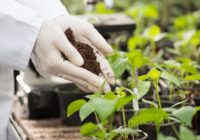 Global Humic Based Biostimulants Market