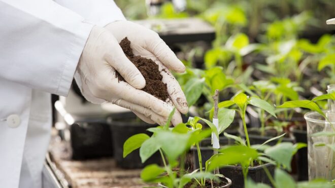 Global Humic Based Biostimulants Market