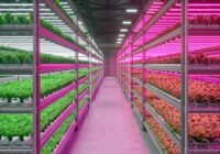 Global Livestock Grow Lights Market