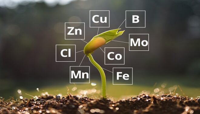 India Agricultural Micronutrients Market