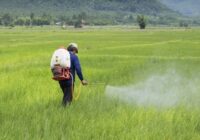 India Pesticide Formulation Market