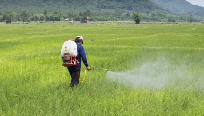 India Pesticide Formulation Market