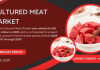 Global Cultured Meat Market stood at USD 222.5 million in 2023 and may reach USD 590.1 million by 2029 with a CAGR of 17.7%.