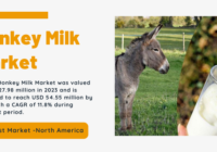 Global Donkey Milk Market was valued at USD 27.98 million in 2023 and may reach USD 54.55 million by 2029 with a CAGR of 11.8%.