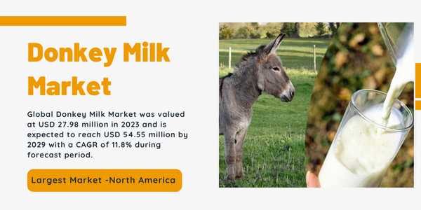 Global Donkey Milk Market was valued at USD 27.98 million in 2023 and may reach USD 54.55 million by 2029 with a CAGR of 11.8%.