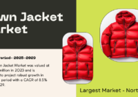 Global Down Jacket Market was valued at USD 152.5 million in 2023 and may grow in the forecast with a CAGR of 8.5% by 2029.