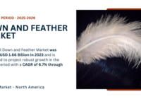 The Global Down and Feather Market stood at USD 1.66 Billion in 2023 and may grow in the forecast with a CAGR of 6.7% by 2029.