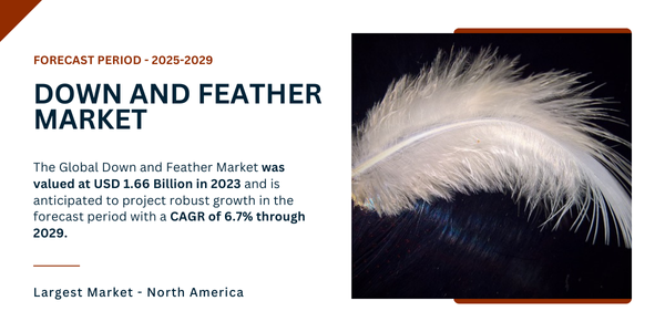 The Global Down and Feather Market stood at USD 1.66 Billion in 2023 and may grow in the forecast with a CAGR of 6.7% by 2029.