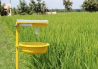 Global Agricultural Pheromones Market