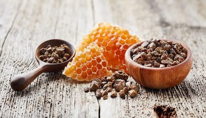 Global Bee Propolis Extract Market