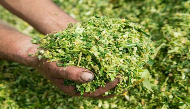 Global Forage Analysis Market