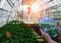 Global Smart Greenhouse Market