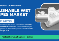 Global Flushable Wet Wipes Market stood at USD 2.9 billion in 2023 and may growth in the forecast with a CAGR of 6.5% by 2029.