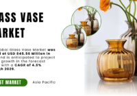 The Global Glass Vase Market stood at USD 845.56 Million in 2023 and may growth in the forecast with a CAGR of 4.6% by 2029.