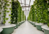 Global Aeroponics Market