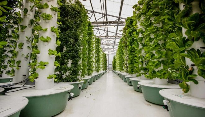 Global Aeroponics Market