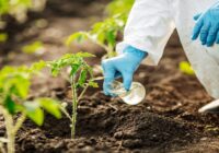 Global Agricultural Testing Market