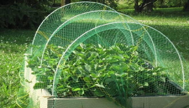 Global Agriculture Nets Market