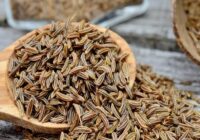 Global Caraway Seeds Market