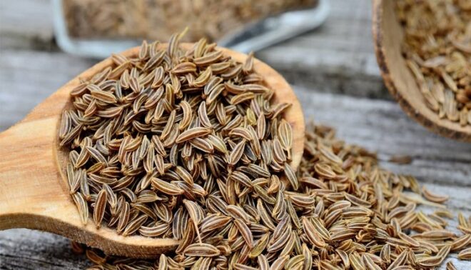 Global Caraway Seeds Market