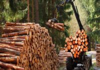 Global Forestry and Logging Market