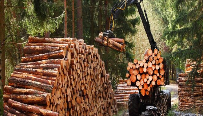 Global Forestry and Logging Market