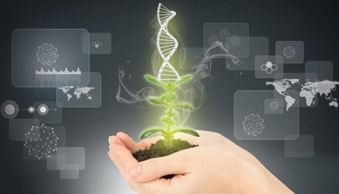 Global Plant Breeding and CRISPR Plant Market