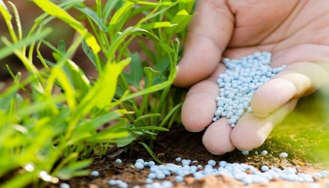 Global Polymer Coated Fertilizers Market