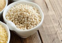 Global Sorghum Seed Market