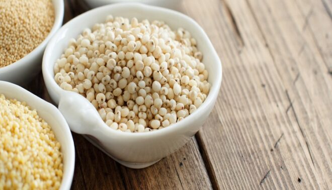 Global Sorghum Seed Market