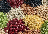 Global Vegetable Seed Market