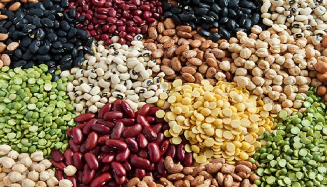 Global Vegetable Seed Market