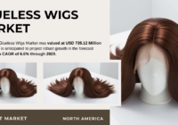 The Global Glueless Wigs Market stood at USD 735.12 Million in 2023 and may grow in the forecast with a CAGR of 6.6% by 2029.