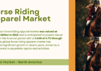 The Global Horse Riding Apparel Market stood at USD 2.92 Billion and may grow in the forecast with a CAGR of 4.7% by 2029.