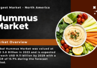 Global Hummus Market stood at USD 3.8 Billion in 2023 and may reach USD 9.11 billion by 2029 with a CAGR of 15.7% by 2029.