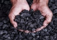 Global Calcined Petroleum Coke Market