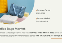 The Global Ladies Bags Market stood at USD 33.52 Billion and may grow with a CAGR of 5.3% through 2029. Free Sample Report.