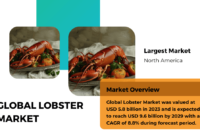 Global Lobster Market stood at USD 5.8 billion and is expected to reach USD 9.6 billion by 2029 with a CAGR of 8.8% during forecast.