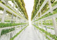 United States Smart Greenhouse Market