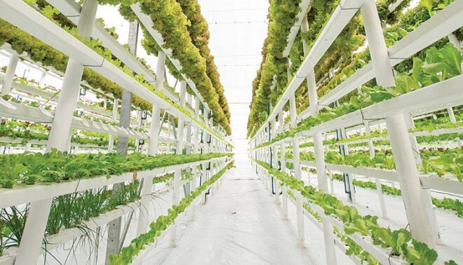 United States Smart Greenhouse Market