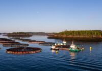 Canada aquaculture Market