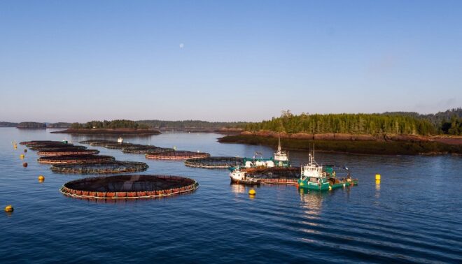 Canada aquaculture Market