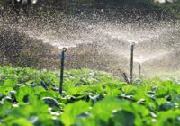 Europe Drip Irrigation Market