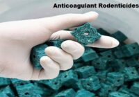 Global Anticoagulant Rodenticides Market