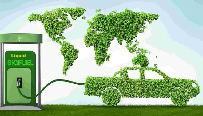 Global Liquid Biofuels Market