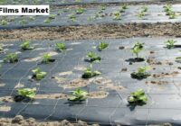 Global Mulch Films Market