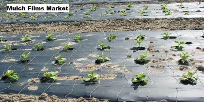 Global Mulch Films Market