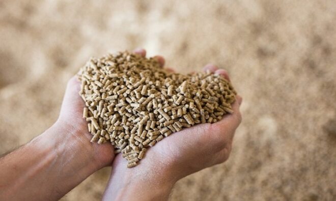 Global Nutritional Ingredients in Animal Feed Market