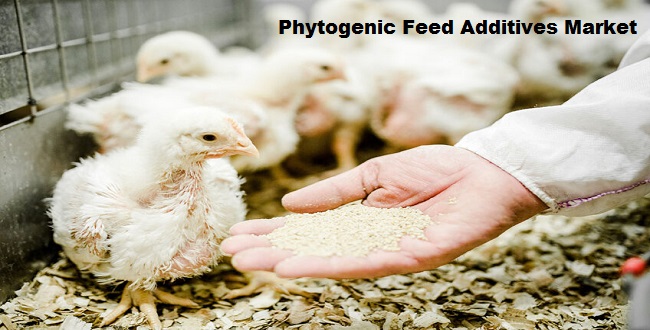 Global Phytogenic Feed Additives Market