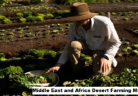 Middle East and Africa Desert Farming Market